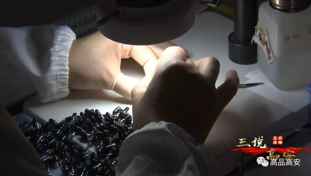 宝马bm1122线路顶级(中国游)有限公司官网