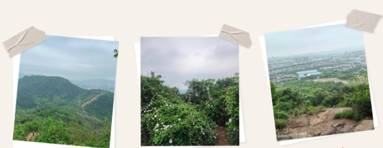 宝马bm1122线路顶级(中国游)有限公司官网